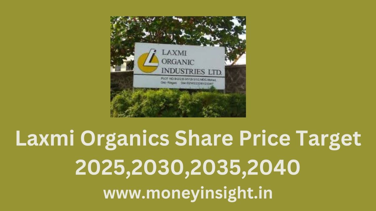 Laxmi- Organics- Share- Price