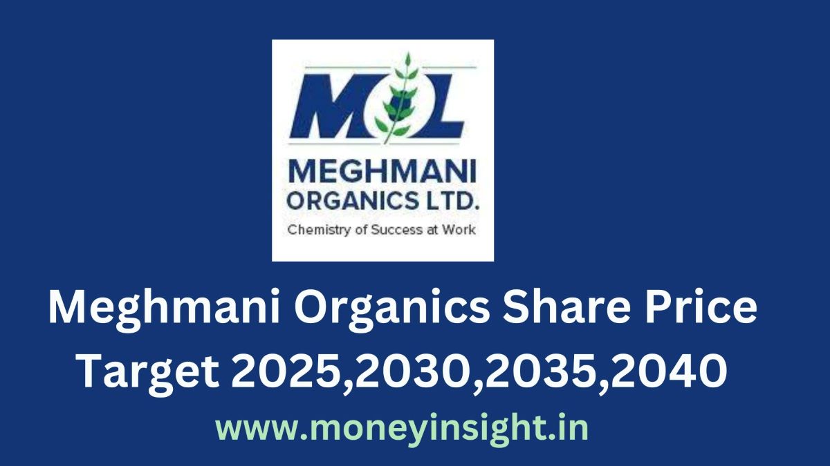 Meghmani- Organics- Share- Price